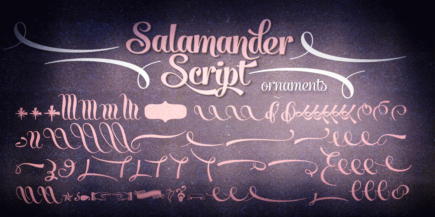 Przykład czcionki Salamander Script